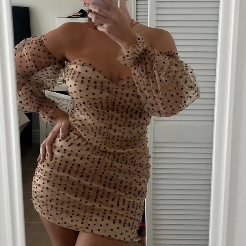 - VICI majorelle  NWOT